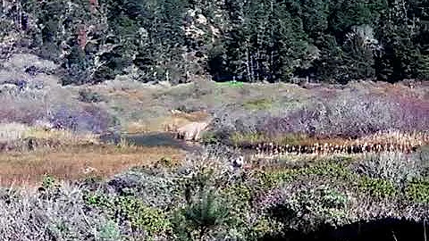 THEODORE HOOVER NATURAL PRESERVE,RANCHO del OSO-BI...