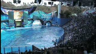SeaWorld Orlando - One Ocean - Shamu (Tilikum) Moment