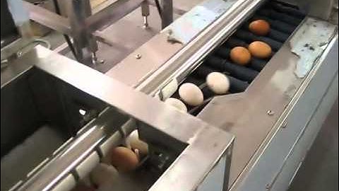 Automatic Egg Grading Machine/Complete Egg Processing Line