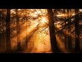Celtic Fantasy Music Playlist – Relaxing Medieval Celtic Instrumental Music Collection