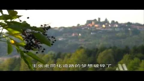 世界历史 096 犹太复国主义及以色列建国 - 天天要闻