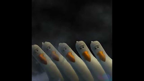 Finding Nemo Birds saying mine and everything to finding nemo and stuff