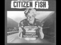 Citizen Fish - Halfway there