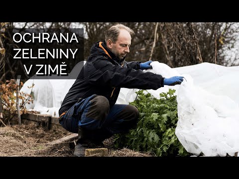 Video: V Zime Doma Pestujeme Zeleň