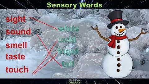 4th Grade - Reading - Sensory Language - Topic Overview