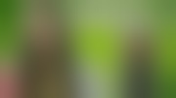 Firefly 2 Vaporizer Review