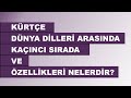 Kürtçe dünya dilleri arasında kaçıncı sırada ve özellikleri nelerdir? #kürtçedili #kürtçe #kurdî