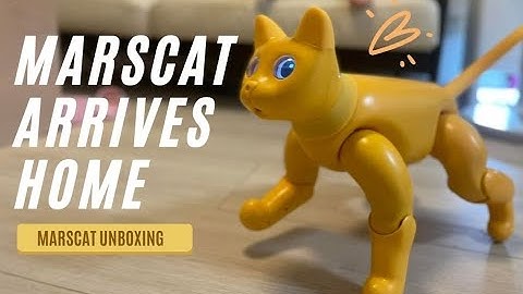 Unboxing | MarsCat First Arrives Home in HongKong