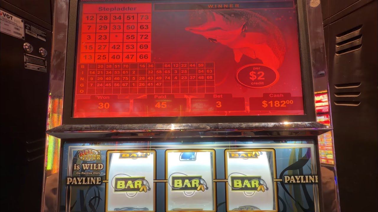 A Regular Day At the Casino Playing $2 Reel Fever, Lucky Duck, & Polar Higher Roller! #casino #slot