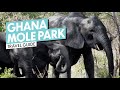 Safari Ride ~ Mole National Park ~ Ghana, Africa