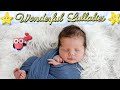 Lullaby For Babies To Go To Sleep ♥ Soft Nursery Rhyme