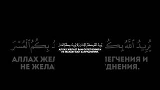 Сура: Аль-Бакара 2:185-186. Чтец: Анас Аль-Имади