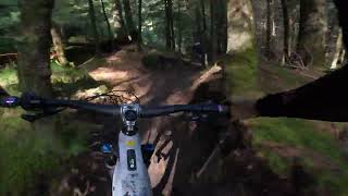 Following Coco Giant REIGN E+ 0 PRO DH Psychosis MTB