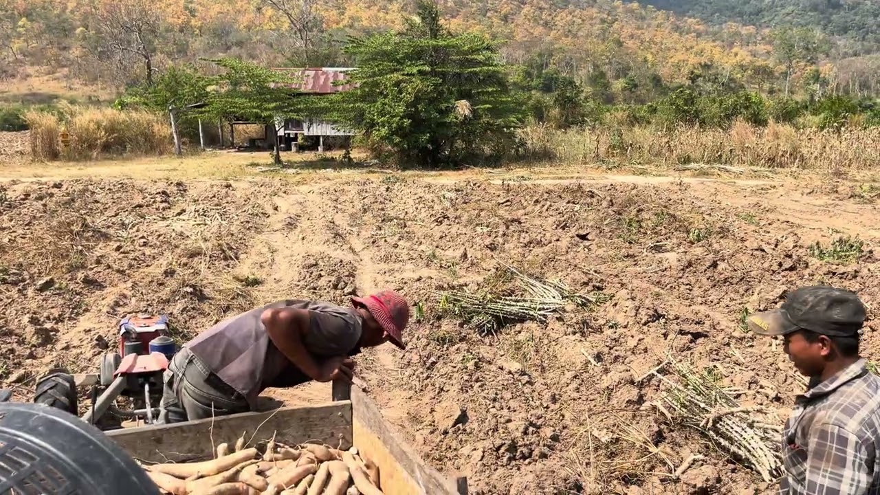 ខ្លាំងមែនៗជាប់ពេញចំការ 