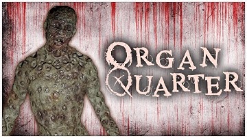 Organ Quarter PSVR2 Review - An Instant Classic