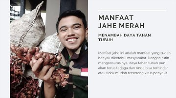 WA 0838 9589 7581, Pusat Distributor Jahe Merah, Harga jahe Merah per kg