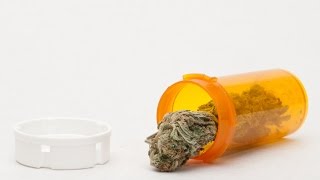 Staten Island University Hospital / Northwell Health: Legalizing Marijuana For Pain Relief