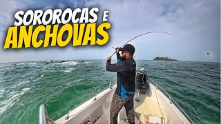 NAVEGAMOS 120KM EM BUSCA DE PEIXE PARA ABRIR UM RESTAURANTE! PESCA COM ISCA ARTIFICIAL NO MAR