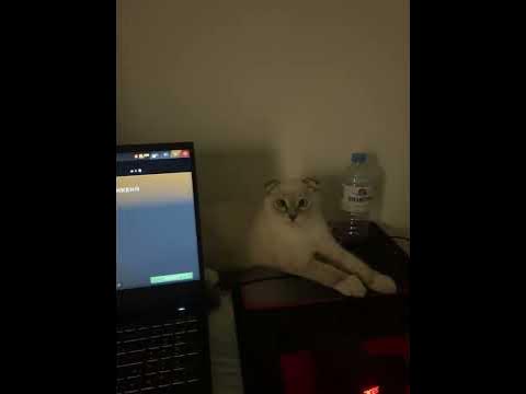 Финька - YouTube