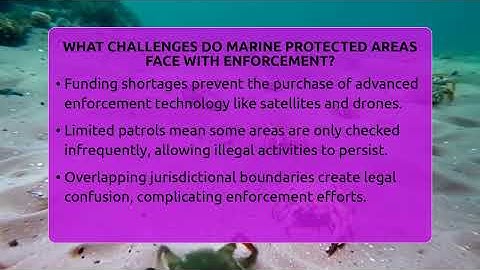 What Challenges Do Marine Protected Areas Face With Enforcement? - The Marine Life Explorer
