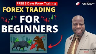 Forex Trading For Beginners 5 Days 10K Per Month Challenge Part 1