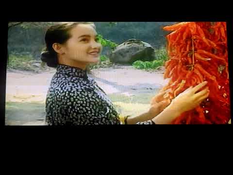 陈良泉MV(乡村路上)冯昭明演唱