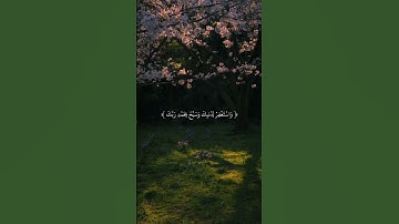 | قرآن كريم راحة نفسية | 🤎🫶🏻 اللهم انصر اهلنا في فلسطين وغزة 🇵🇸🫀#قرآن #فلسطين_حرة #راحة_نفسية