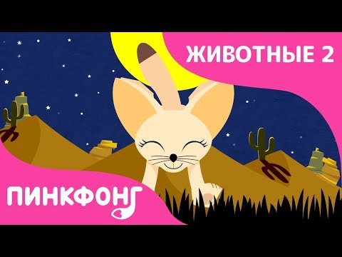 Фенек — Фа-Фа Фенек | Песни про Животных | Пинкфонг Песни для Детей