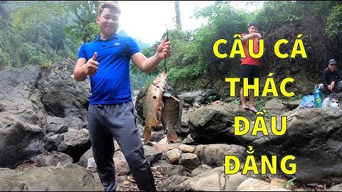 Câu cá thác đầu đẳng vườn quốc gia Ba Bể
