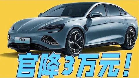 官降3萬元！海洋網最後一款榮耀版車型，海豹榮耀版怎麼選？ - 天天要聞