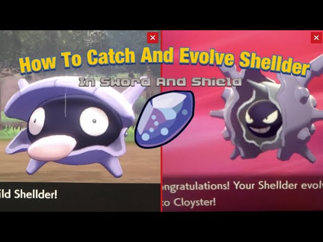 How to Catch Shellder - Pokemon Sword & Shield 