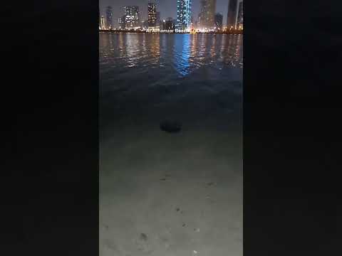 Dubai Al mamzar beach