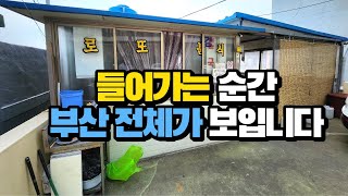 오래된 칼국수김밥 맛집인데 들어가는 순간 부산 전체 야경이 다보이는 산복도로분식집