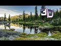 Дикая природа России. Таёжный край (в 3D)