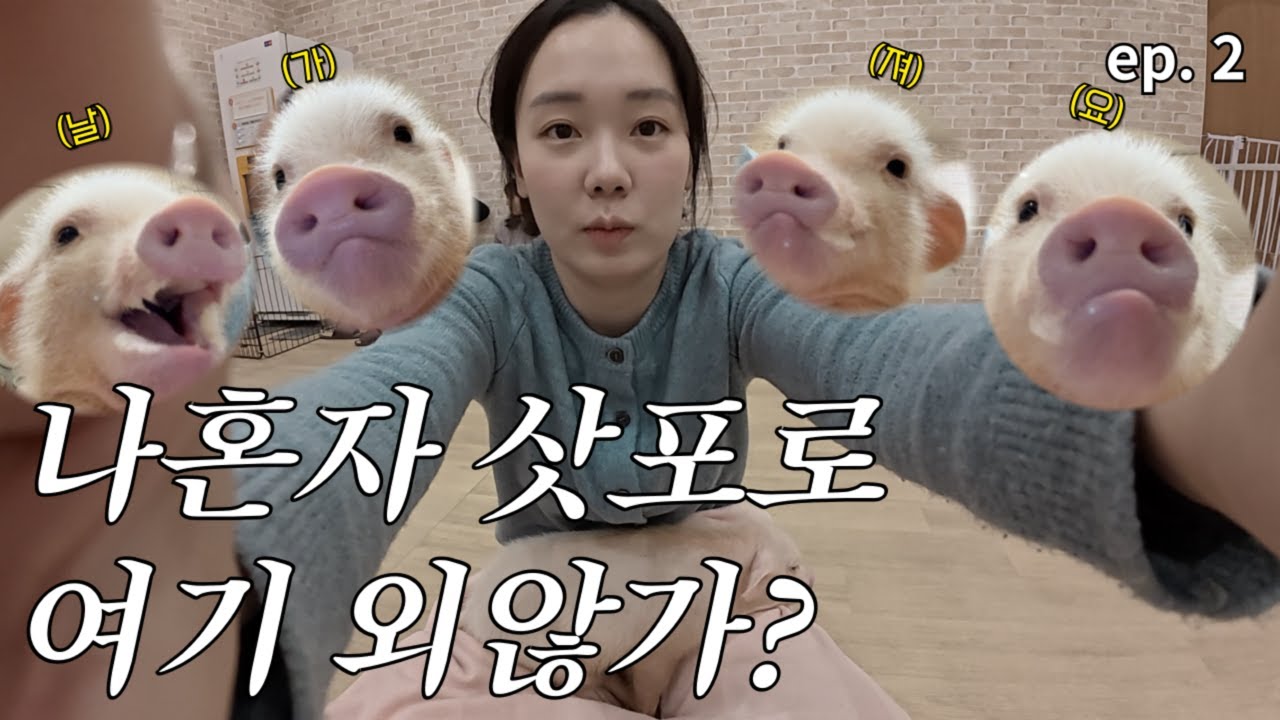 🇯🇵ep.2 나혼자 삿포로에서 돼지랑 꽁냥꽁냥🐷 나만 알고 싶은 곳들 한가득(!)ㅣ키노쿠니야 서점, 니코앤드, 시로, 칼디, 무인양품 낭낭하게 터는 삿포로 브이로그