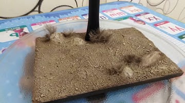 1/6 Scale Custom Stand "Wild West"