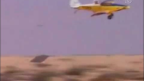 Thousands of Locusts Invade Israel