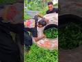 KALAP CARI BAN TRUK BESAR