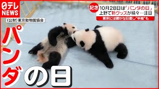 【上野動物園】10月28日は「パンダの日」 新商品が続々…（列島ニュースまとめ）