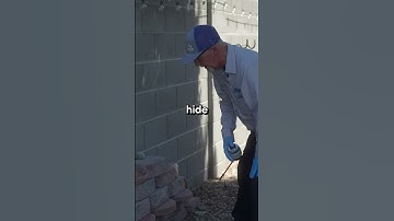 How to Find Scorpions Before They Find You