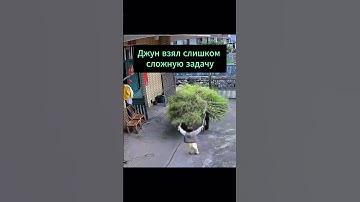 ТГ: masha_codeca #фронтенд #coding #programming