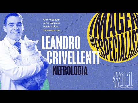 LIVE: Imagem do Especialista, com Dr Leandro Crivellenti [Nefrologia Veterinária]