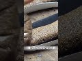 #shoefactory #machine #shoes #automobile #shoetsvideo #factory #viralvideo