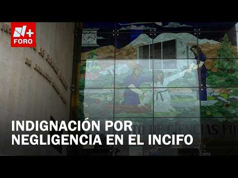 INCIFO issues apology for negligence in missing person case