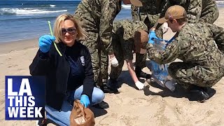 Fleet Week at Venice Beach