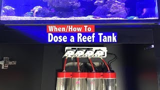 How To Dose a Reef Tank - When do you know you need to dose? screenshot 1