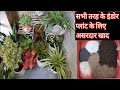 Best fertilizer for indoor plants          indoor plants ke liye khad