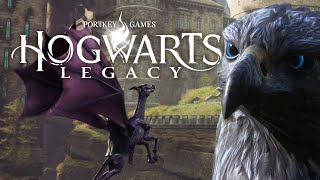 HOGWARTS LEGACY 🏰 Dunkle Greifen & Thestrale | 021 by Sarazar 33,528 views 1 year ago 34 minutes