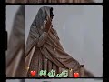 دمساز مروت شاعر طاھر کولاچی دمساز مروت شاعر طاھر کولاچی