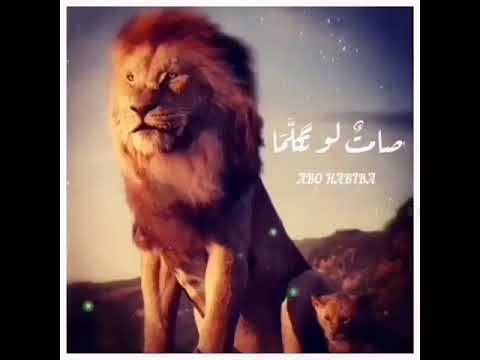 حالات وتس اب صامت لو تكلما 